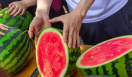 长清大学在线吃瓜网,揭秘校园热点，畅享青春趣味