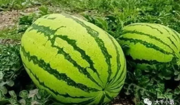 吃瓜网哪里进,揭秘热门话题背后的秘密入口