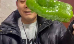 缅甸网红吃瓜视频,揭秘娱乐圈幕后故事